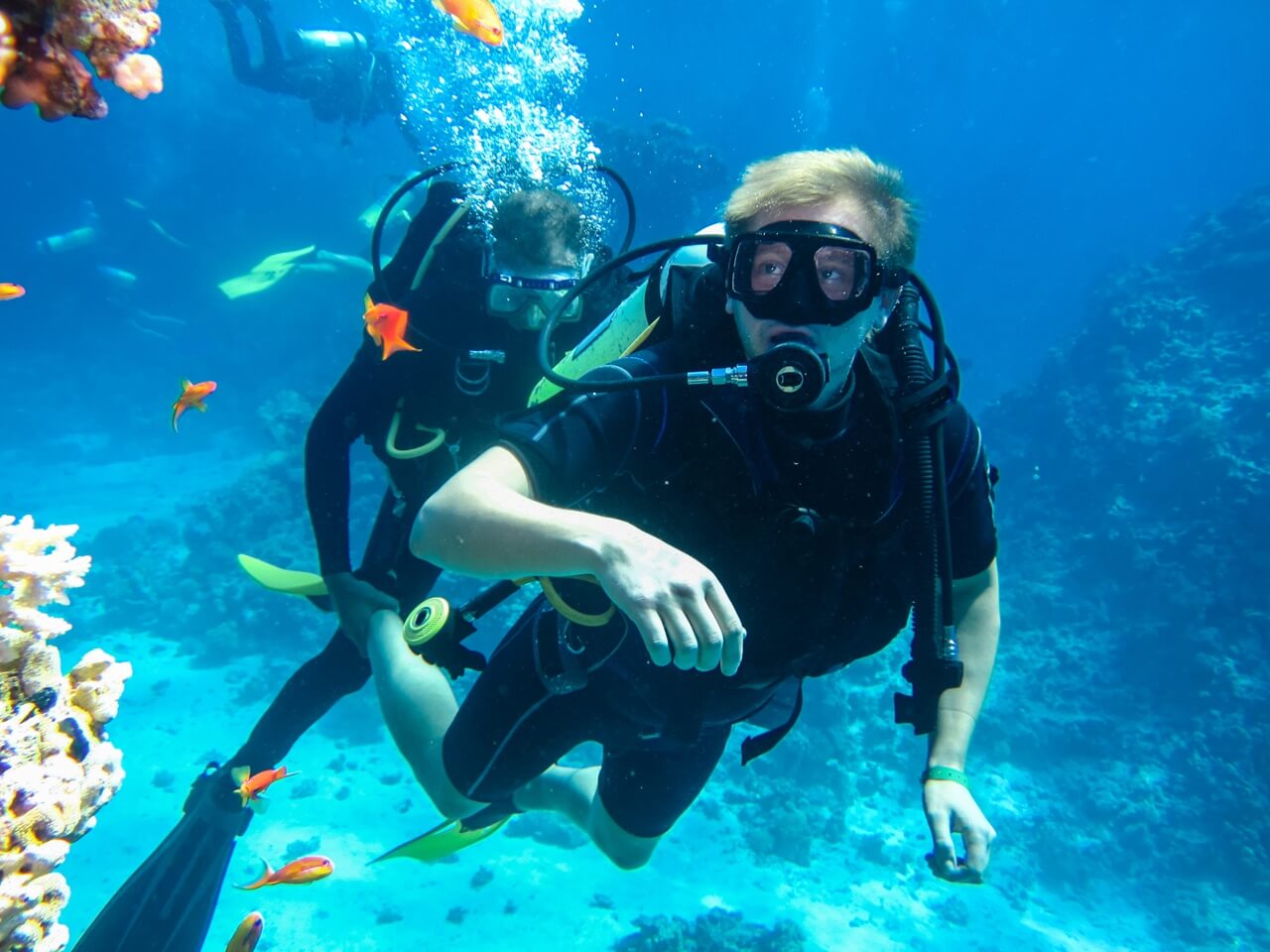Scuba diving in Hurghada Red Sea - divers exploring coral reefs with colorful tropical fish